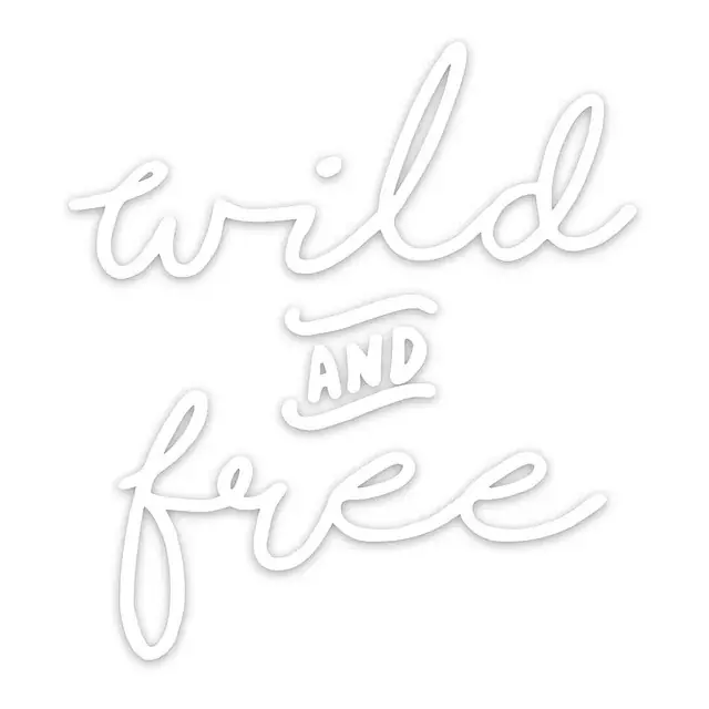 Ausverkauf Autoaufkleber Wild & Free