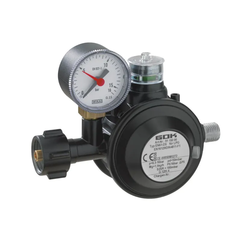 GOK Niederdruckregler mit Manometer Typ EN61-DS - 50 mbar Billig