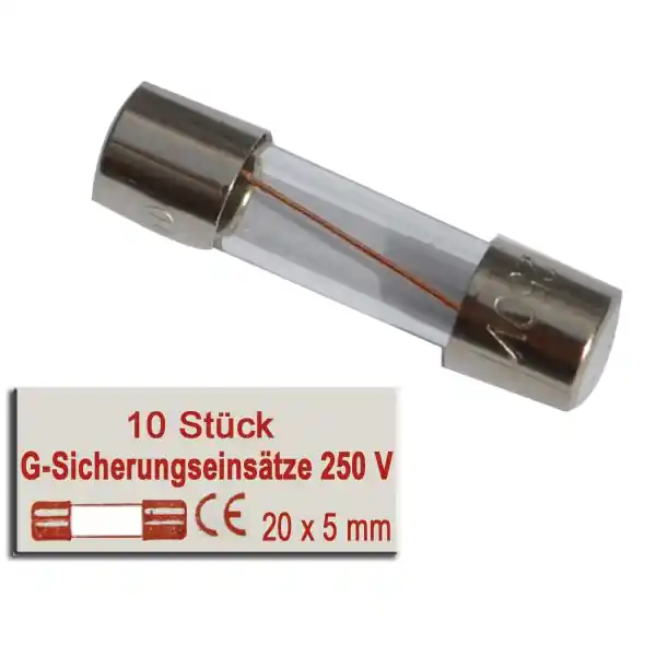 Abverkauf G-Sicherungseinsätze 250 V / 10 A - 10 Stck.