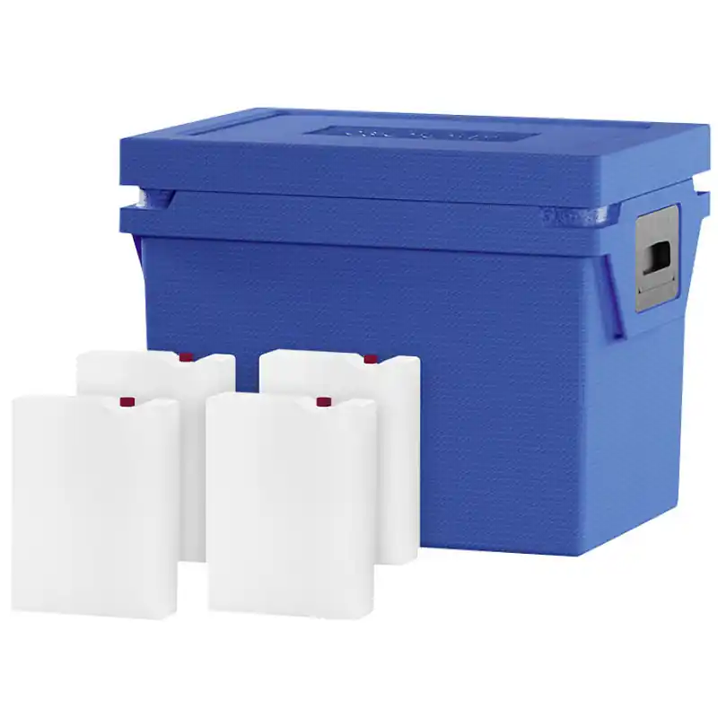 Qool Kühlbox M Standard Frozen Versand Am Gleichen Tag