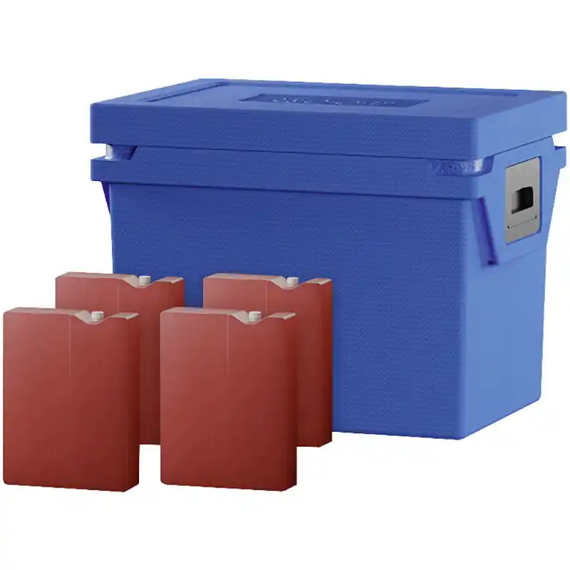 Nur Für Kurze Zeit Qool Kühlbox M Standard Cool