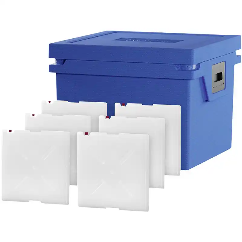 Garantierte Lieferung Qool Kühlbox L Standard Frozen