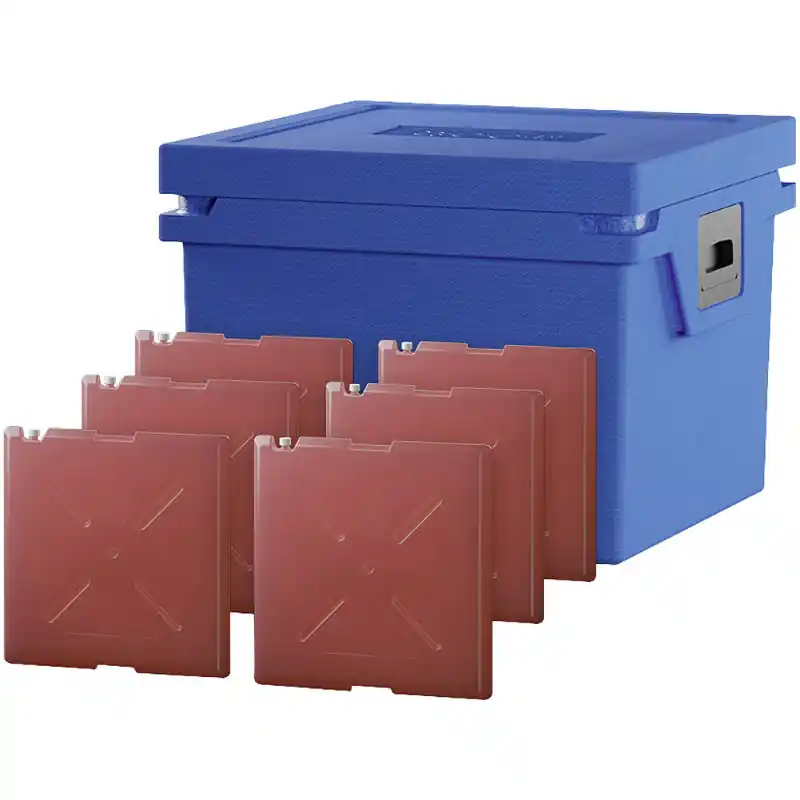 Qool Kühlbox L Standard Cool Must-Have