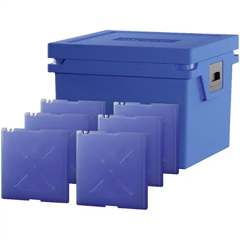 Letzte Chance Qool Kühlbox L Controlled Fresh