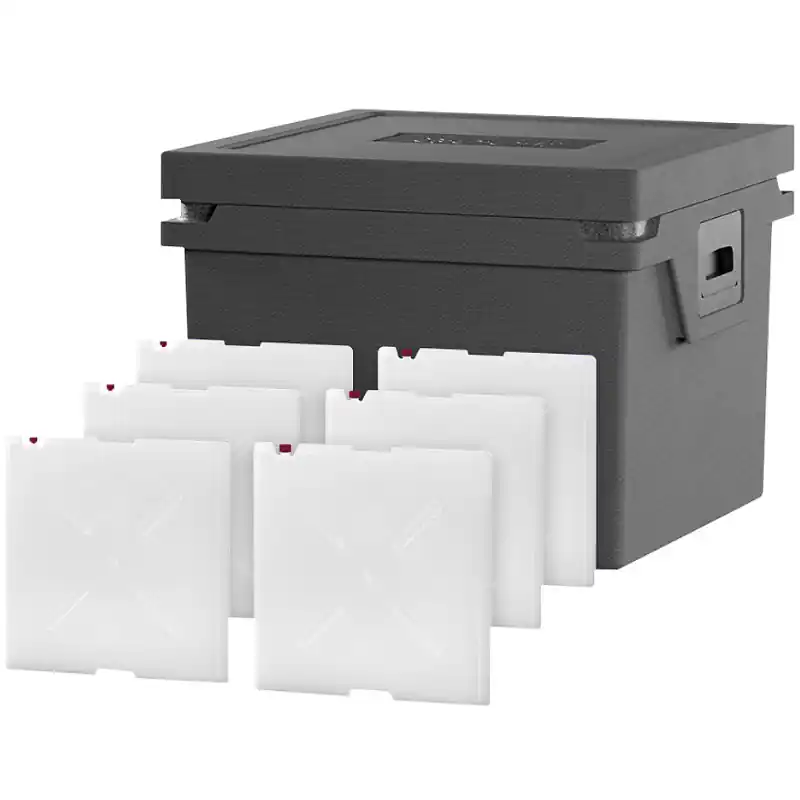 Neue Ware Qool Kühlbox Eco+ L Standard Frozen