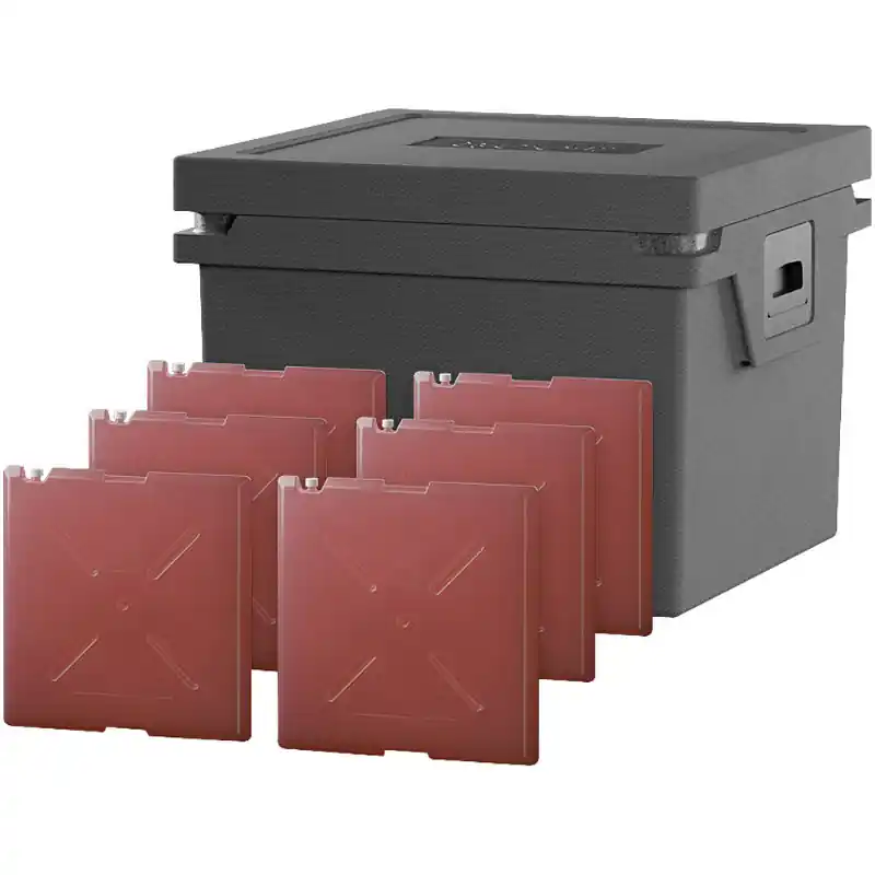 Qool Kühlbox Eco+ L Standard Cool Versand Am Gleichen Tag