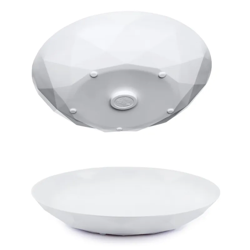 Bestpreis Silwy Magnet-Geschirr Essteller, 2er-Set