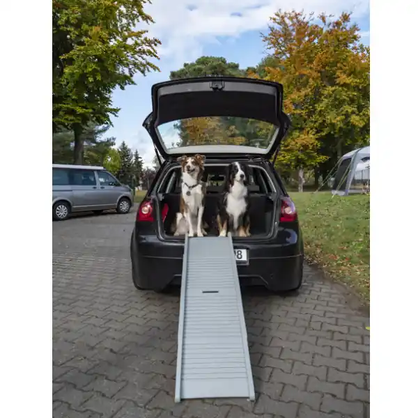 Camp4 faltbare Hunderampe Emma Sonderangebot