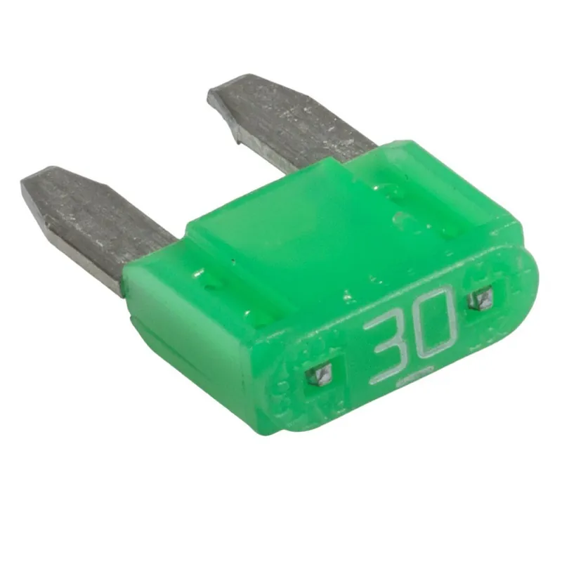 Clesana 30A Sicherung (PCB) für C1 Toilette Jetzt Bestellen