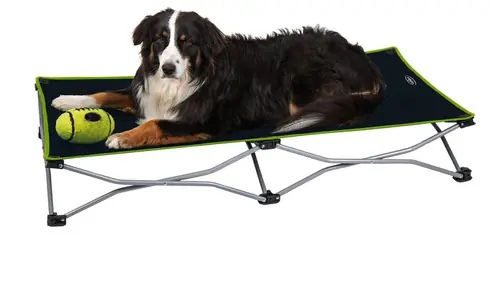 Faltliege Momo - Hundebett / Hundeliege Angebot