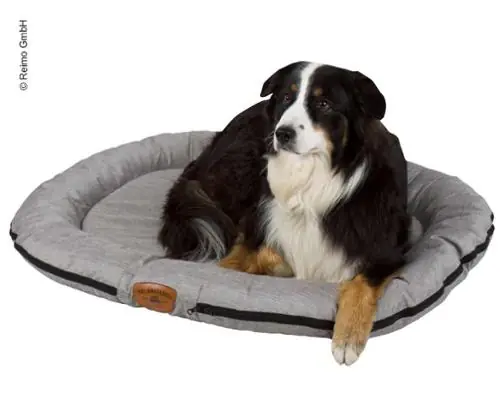 Holiday Travel Outdoor Hundebett Must-Have