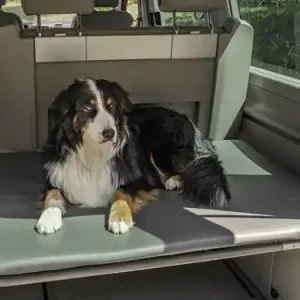 Versand Am Gleichen Tag Hundematratze - Heckauflage für VW T5/T6 California