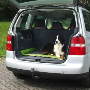 Versand Am Gleichen Tag Abby Outdoor-Hundematte für Hunde