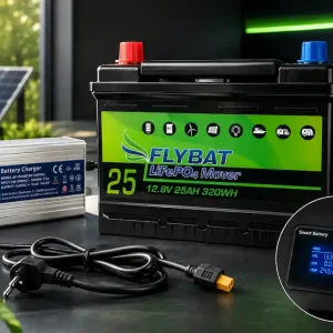 Nur Für Kurze Zeit Mover Batterie BVD 12V 25AH inkl. Ladegerät 220V + App Lithium Rangierhilfe