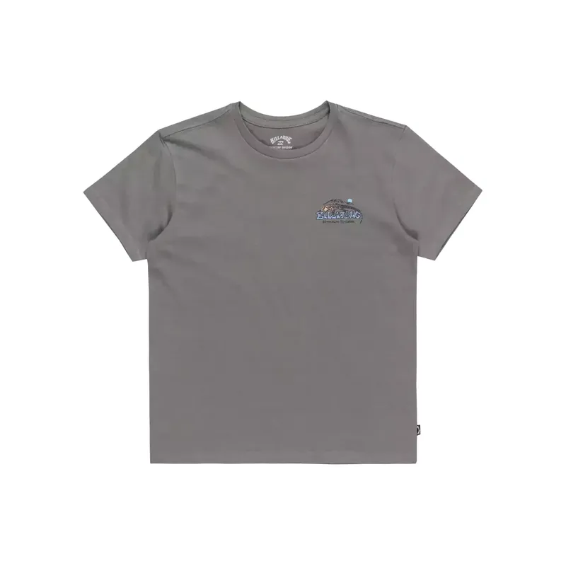 Aktuell T-Shirt Billabong Lizard Mountain Slate Grey