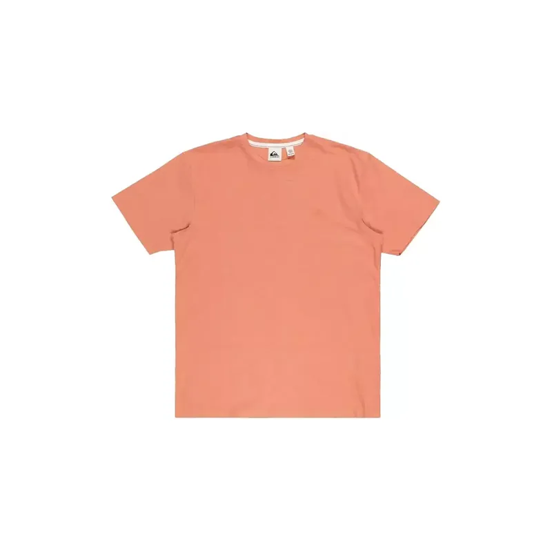 Aktuell T-shirt quiksilver Slub Roundneck Canyon Clay